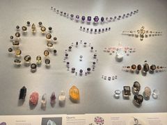 -美国自然历史博物馆