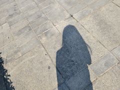 -厦门园林博览苑
