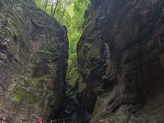 -牛背梁国家森林公园