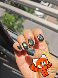 -柚子•猫美睫美甲
