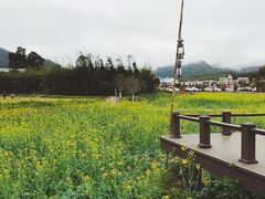 -禾悦庄餐厅