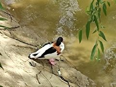 -辛玛王国游乐园