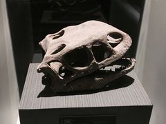 -世界恐龙谷景区