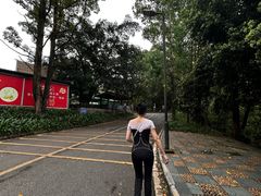 -大雁山风景区