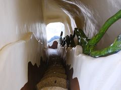 -疯狂屋