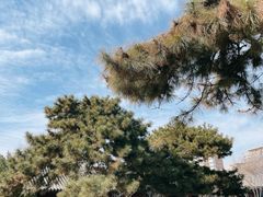 -白云观