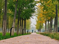 -汉长安城未央宫国家考古遗址公园