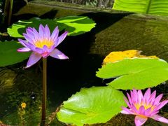-肴约·花园式餐厅(湖里店)