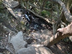 -梧桐山风景名胜区