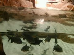 -洛阳龙门海洋馆