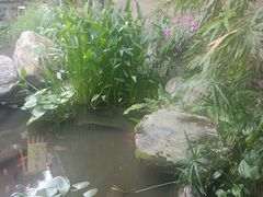 -芙蓉门·川剧变脸长嘴壶茶艺茶文化表演研学