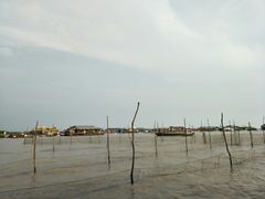 -洞里萨湖