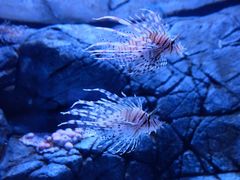 -成都浩海立方海洋公园