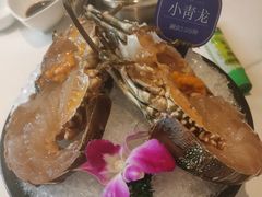-海月轩海鲜豆捞(紫金塔店)