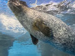 -上海海洋水族馆