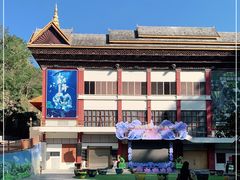 -西双版纳原始森林公园