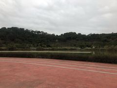 -飞凤山奥体公园