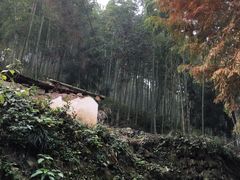 -山沟沟景区