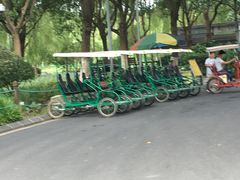 -昆山城市生态森林公园