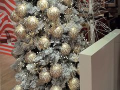 -文艺复兴百货(米兰大教堂广场店)