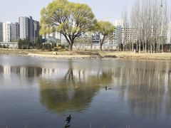 -将府公园