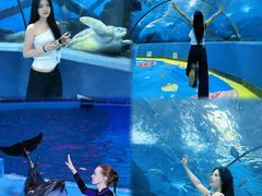 -合肥海洋世界