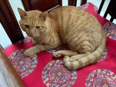 -三圣花乡旅游区