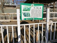 -北京鹿世界主题园