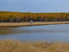 -塞罕坝国家级自然保护区