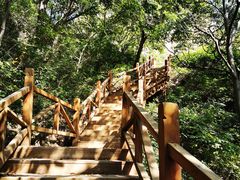 -大岭沟猕猴桃谷风景区