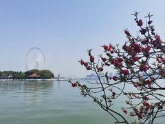 -无锡蠡湖国家湿地公园-蠡园