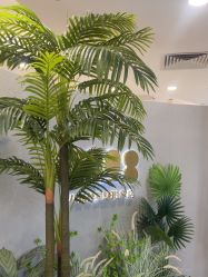 -八佰伴8008星级形象店