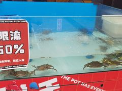 门面-胖哥俩肉蟹煲(龙德广场店)