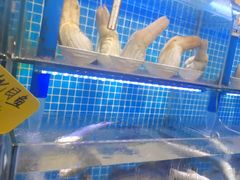 -前王院•巧克力海鲜市集餐厅(万平口店)