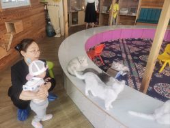 -萌宠亲子动物乐园(槐房万达店)