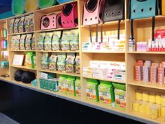 -猫十亿·布偶金渐层·曼基康矮脚猫舍(青年路店)