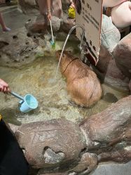 -造物庄园 萌宠纪(苏州湾歌林公园店)