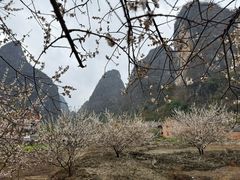 -钟山水墨田园