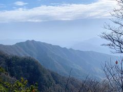 -王顺山国家森林公园
