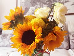 -植物学家的女儿(北马道巷店)