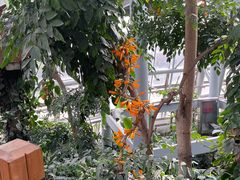 -郑州植物园
