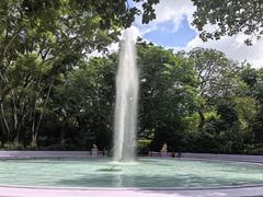 -九龙公园