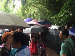 -东北人粗粮饺子坊(南山店)