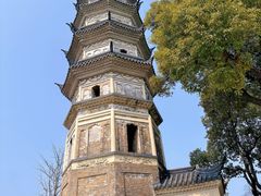 -苏州上方山国家森林公园