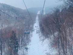 -亚布力新体委滑雪场