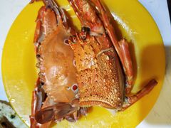 -东记炭炉·海鲜鸡煲(龙华店)