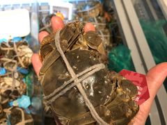 -盒马鲜生(皇庭广场店)