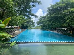 -瑰丽酒店·海吧·天际下午茶·现场DJ·天台酒吧