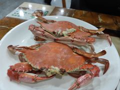 -红灯笼龙凤饭店(宁波老字号店)