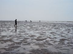 -南汇新城海滩